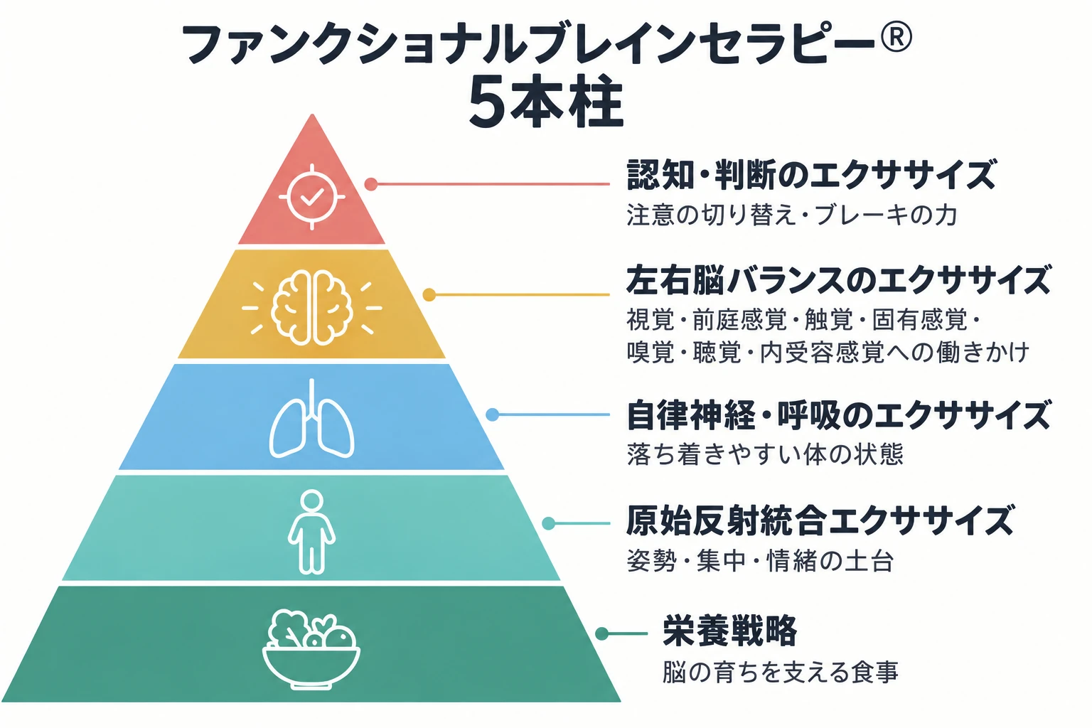 ファンクショナルブレインセラピー 5つの柱のピラミッド図